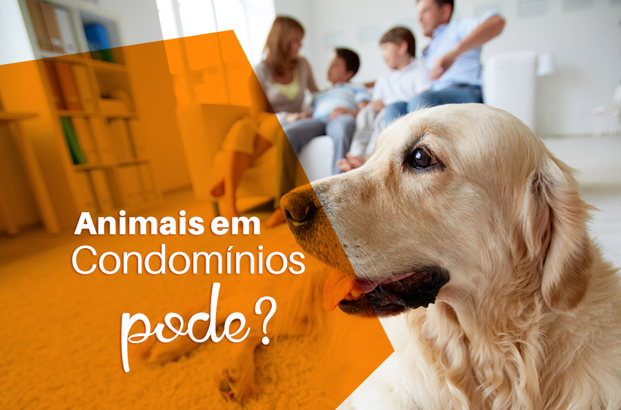 pode animal em condomínio?